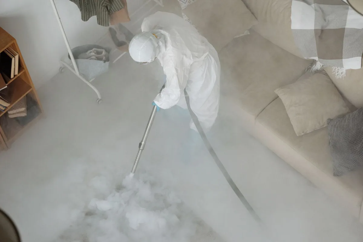 Crime Scene Cleanup in Mexico, MO
